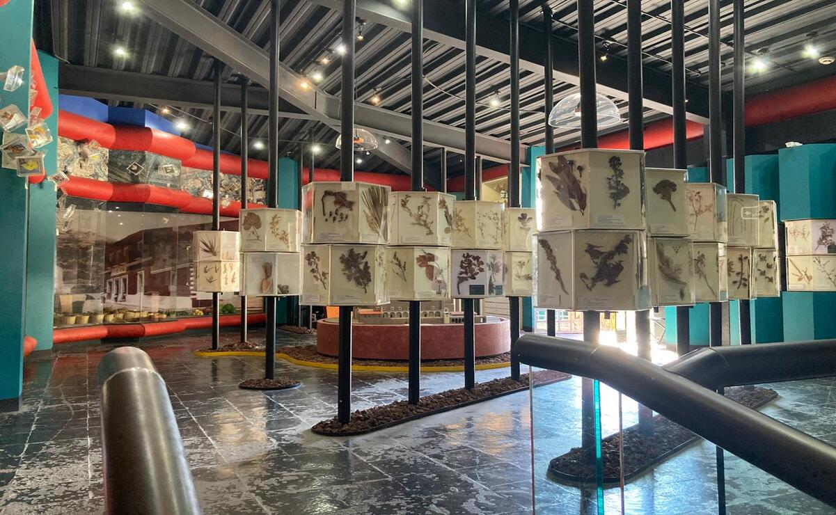 Conoce la colección del museo Luis Mario Schneider en Malinalco