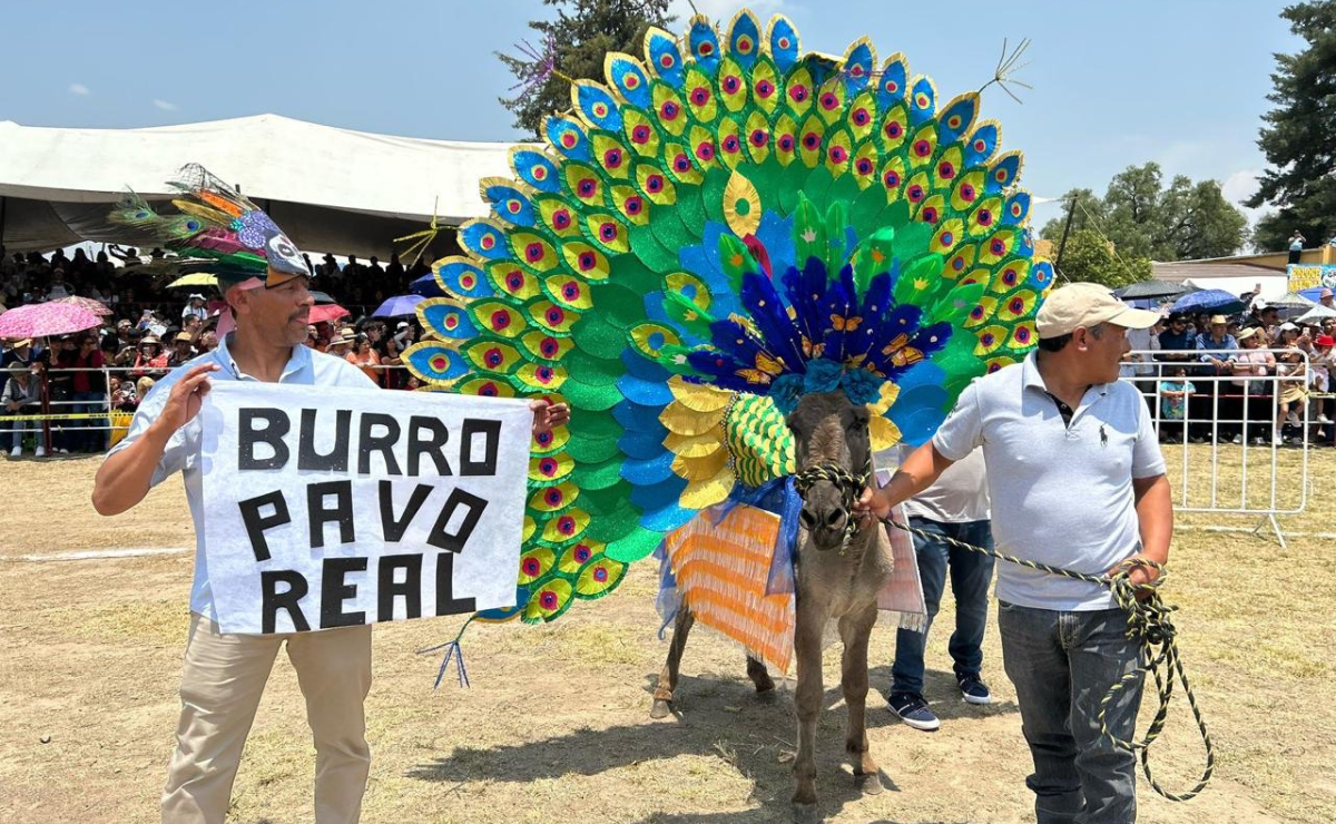 La singularidad de Otumba: Polo en burro y rebuznos que conquistan a los visitantes. Foto: Emilio Fernández