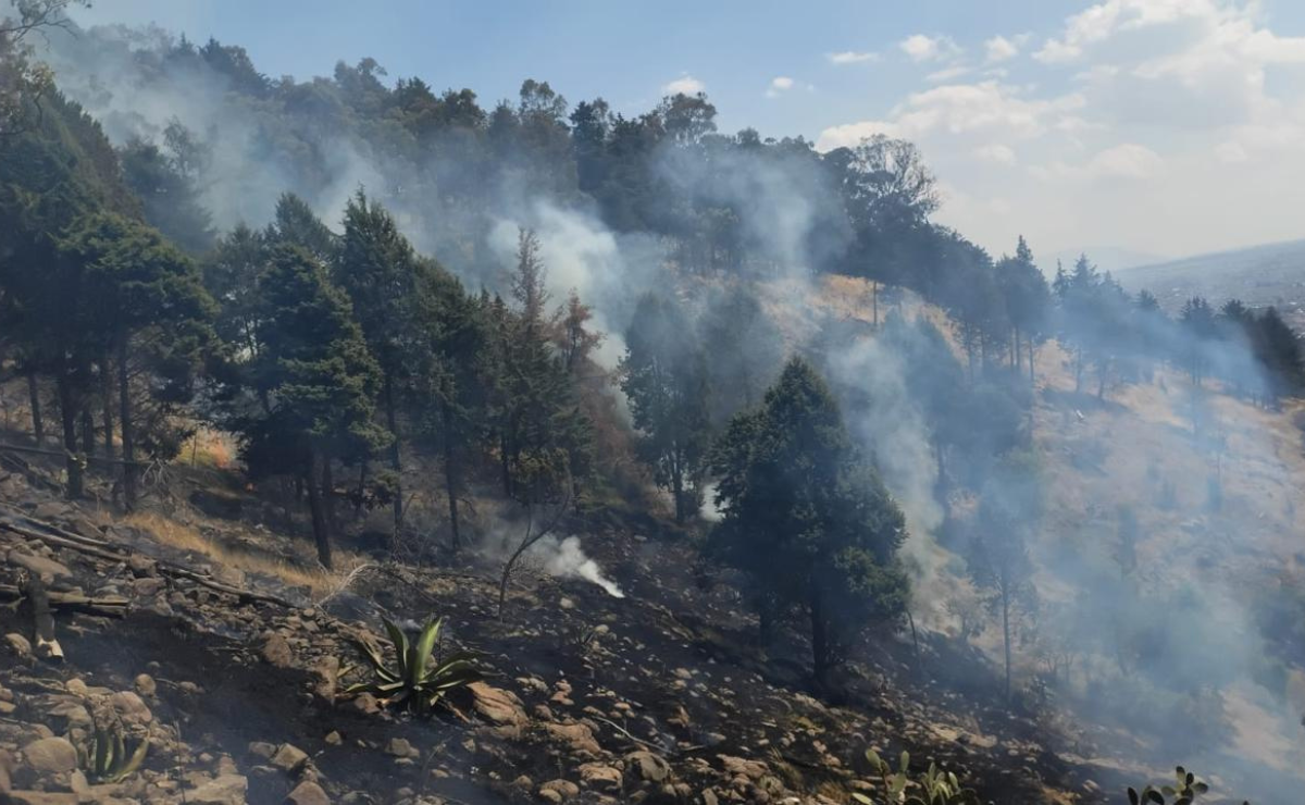 La Teresona bajo ataque: Incendio consume 15 hectáreas en Toluca