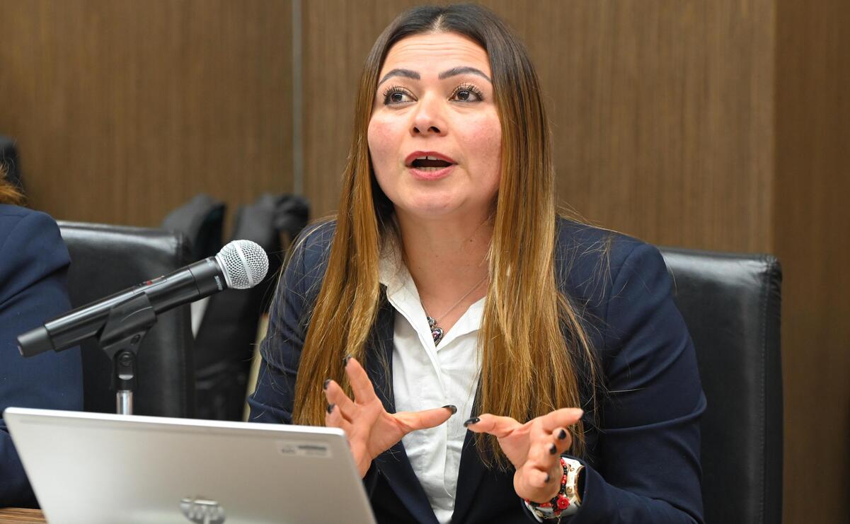 Karla Castillo Muñoz comento que hay un adeudan 2 mil 118 millones de pesos a CFE / Foto: Especial