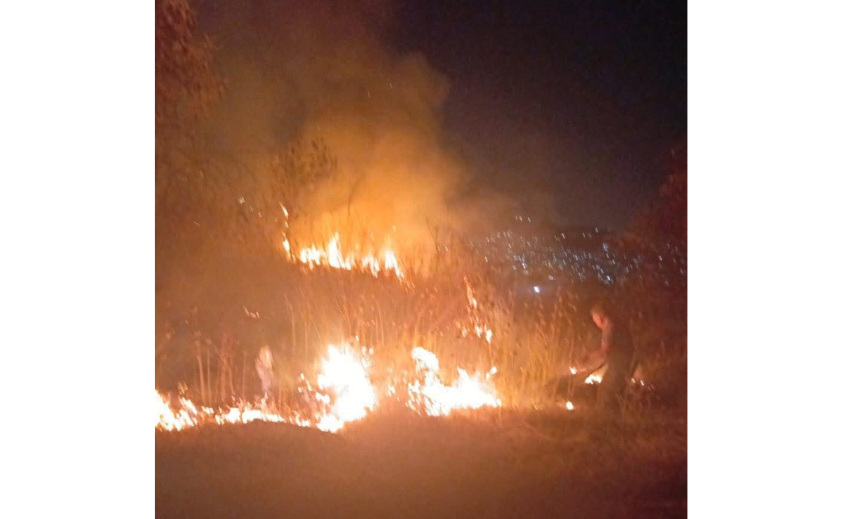 Bomberos trabajaron arduamente para controlar las llamas. Foto: Especial