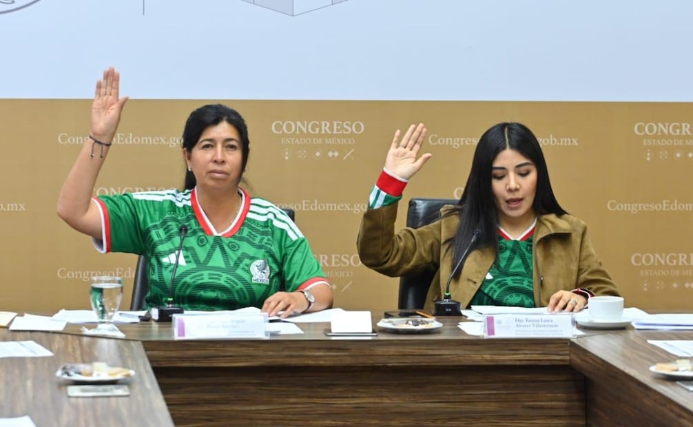 La diputada Carmen de la Rosa Mendoza (Morena) promueve reformar el Código Penal para frenar los vacíos legales en el uso de tecnologías. Foto Especial