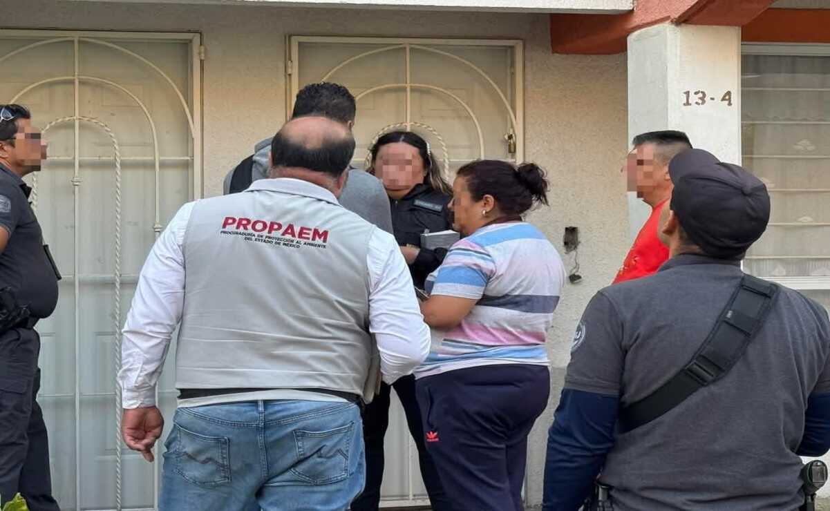 La PROPAEM realizó mil 695 inspecciones a giros industriales, comerciales y de servicios / Foto Especial