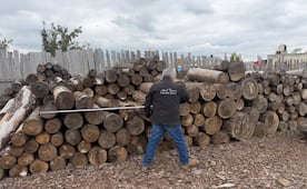 Aseguran 156 metros cúbicos de madera en el Nevado de Toluca