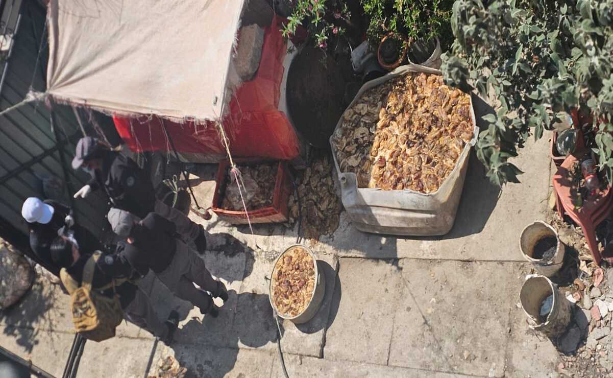 ¡Horror en Mexicaltzingo! Catean inmueble  y hallan restos de animales