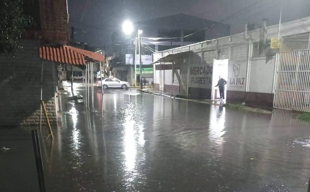 El Servicio Meteorológico Nacional había advertido sobre lluvias fuertes con descargas eléctricas provocadas por canales de baja presión en el centro del país. Foto Especial