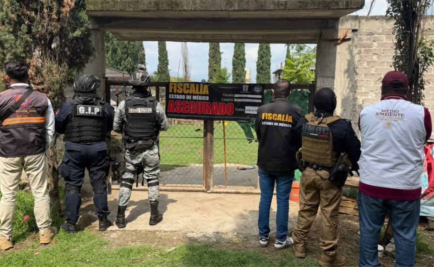 Aseguran 11 animales exóticos tras cateo por maltrato animal en Chalco; hay un detenido

