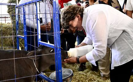 ¡A jineteársela! Feria del Caballo 2025, ¡empleos y diversión!