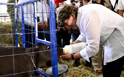 ¡A jineteársela! Feria del Caballo 2025, ¡empleos y diversión!