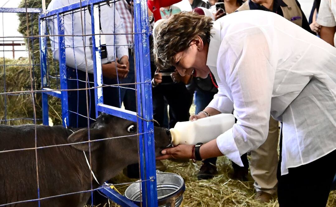 La gobernadora Delfina Gómez inauguró la 42ª Feria Internacional del Caballo Texcoco 2025. Foto Especial