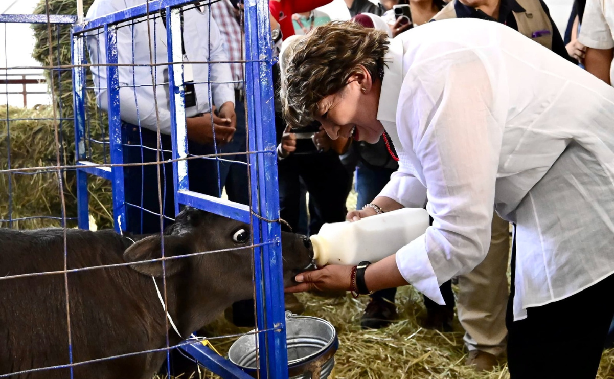 ¡A jineteársela! Feria del Caballo 2025, ¡empleos y diversión!