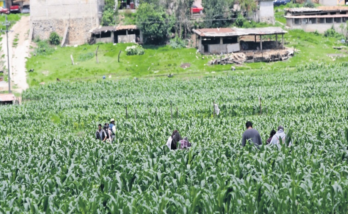 Se prevé que para el 2025 haya cambios en las reglas de operación del Fondo de Indemnizaciones a Productores y Productoras Rurales Mexiquenses. / Foto Arturo Hernández