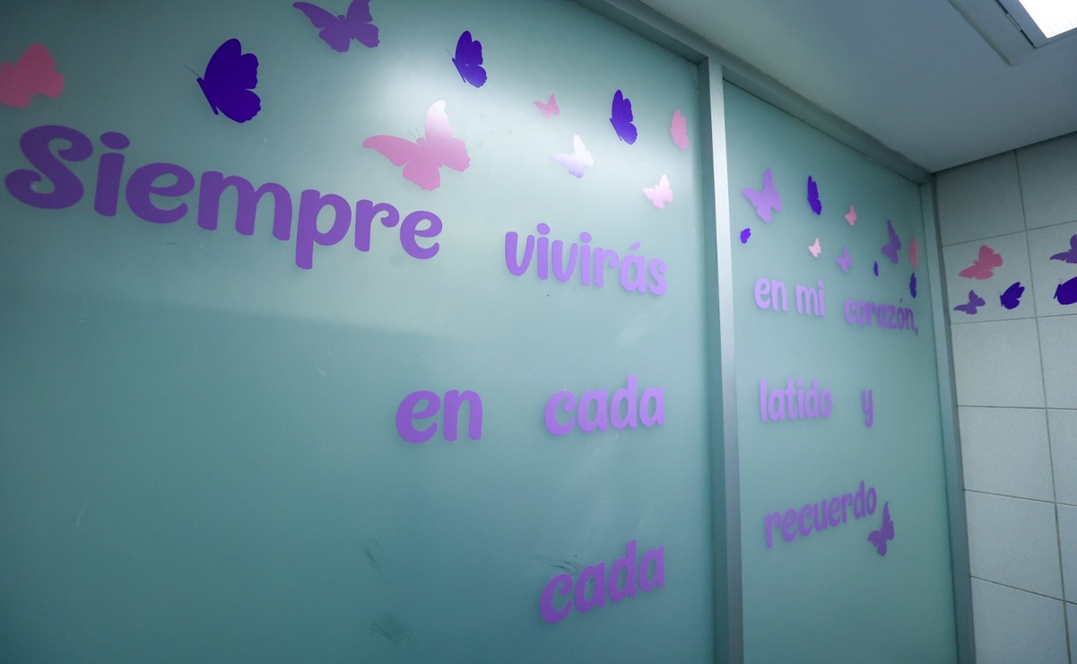 El "Código Mariposa" busca humanizar el acompañamiento a las familias que atraviesan la pérdida perinatal / Foto: Alejandro Vargas