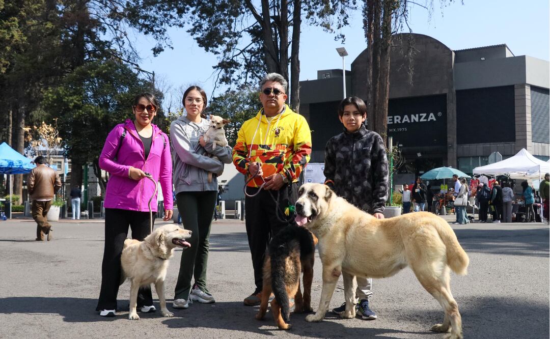 Ricardo Moreno acerca el bienestar animal a Toluca con la nueva sede del CCyBA en la zona norte, combatiendo el maltrato y promoviendo adopciones. Foto: Especial