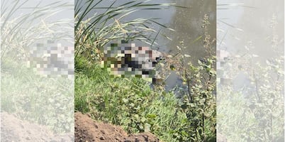 Encuentran cuerpo de un hombre en canal de aguas negras cerca del Circuito Exterior Mexiquense en Tultitlán