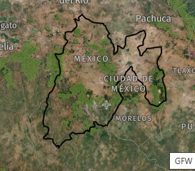 Se detectaron miles de alertas recientes, indicando tala ilegal y no sostenible en varias regiones del Edomex. Foto Especial