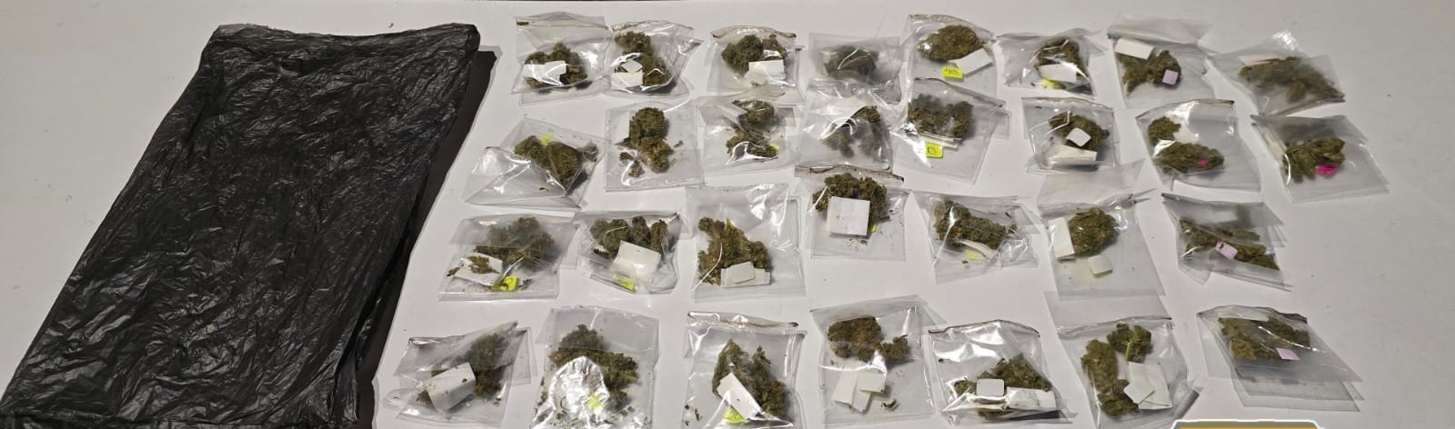 Le encontraron 30 bolsas con hierba verde y seca con características de marihuana / Foto Especial
