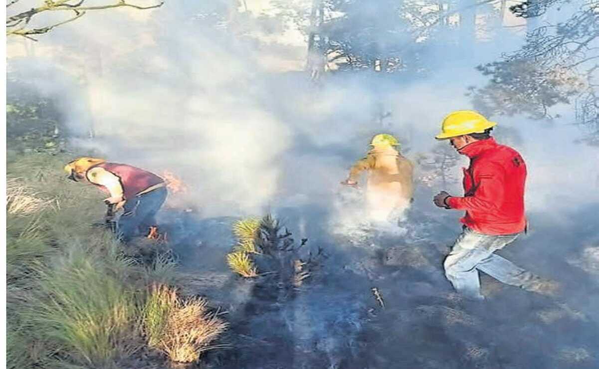 La quema de cable robado en Zinacantepec ha provocado varios incendios principalmente en la zona de Solidaridad las Torres. Foto: Especial