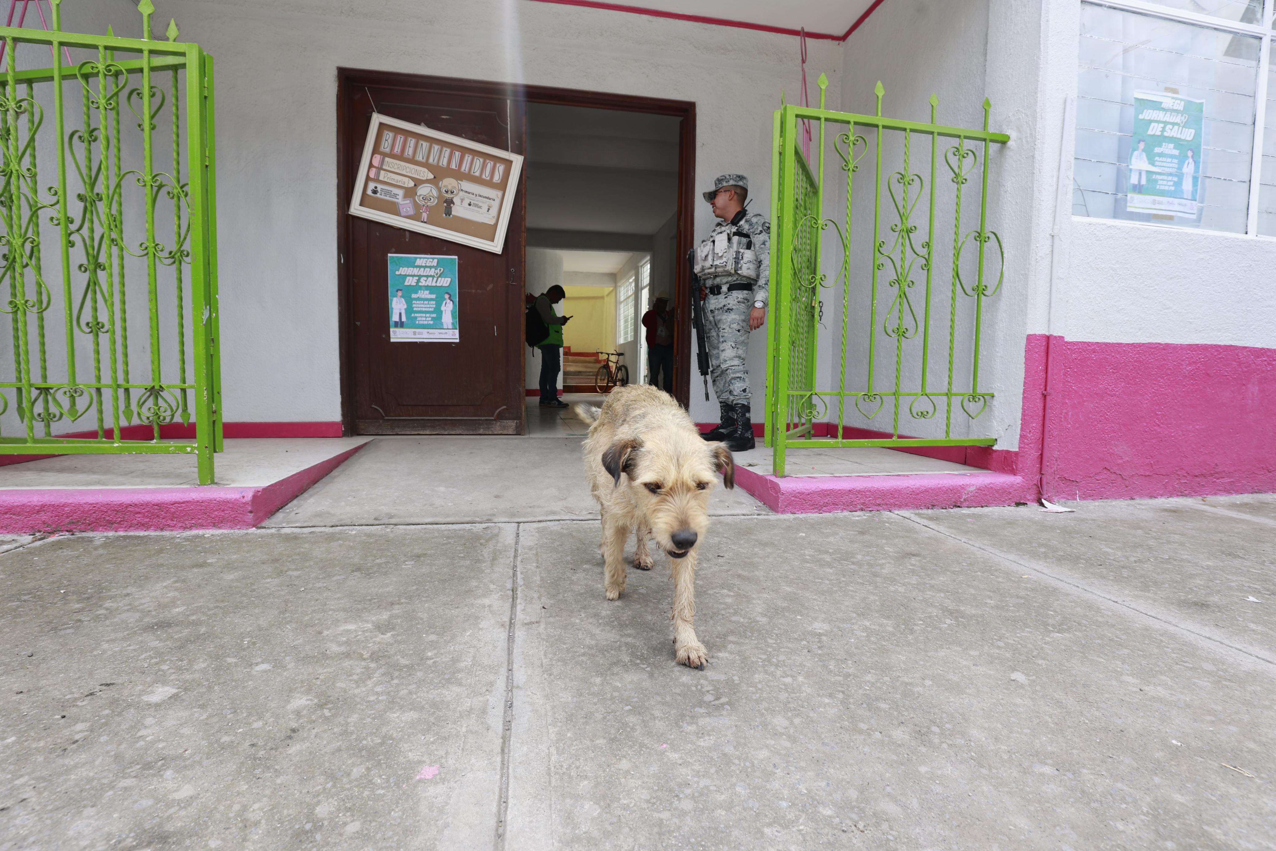 Elementos de la Guardia Nacional adoptan a Chilaquil en Ocoyoacac. Foto Alejandro Vargas