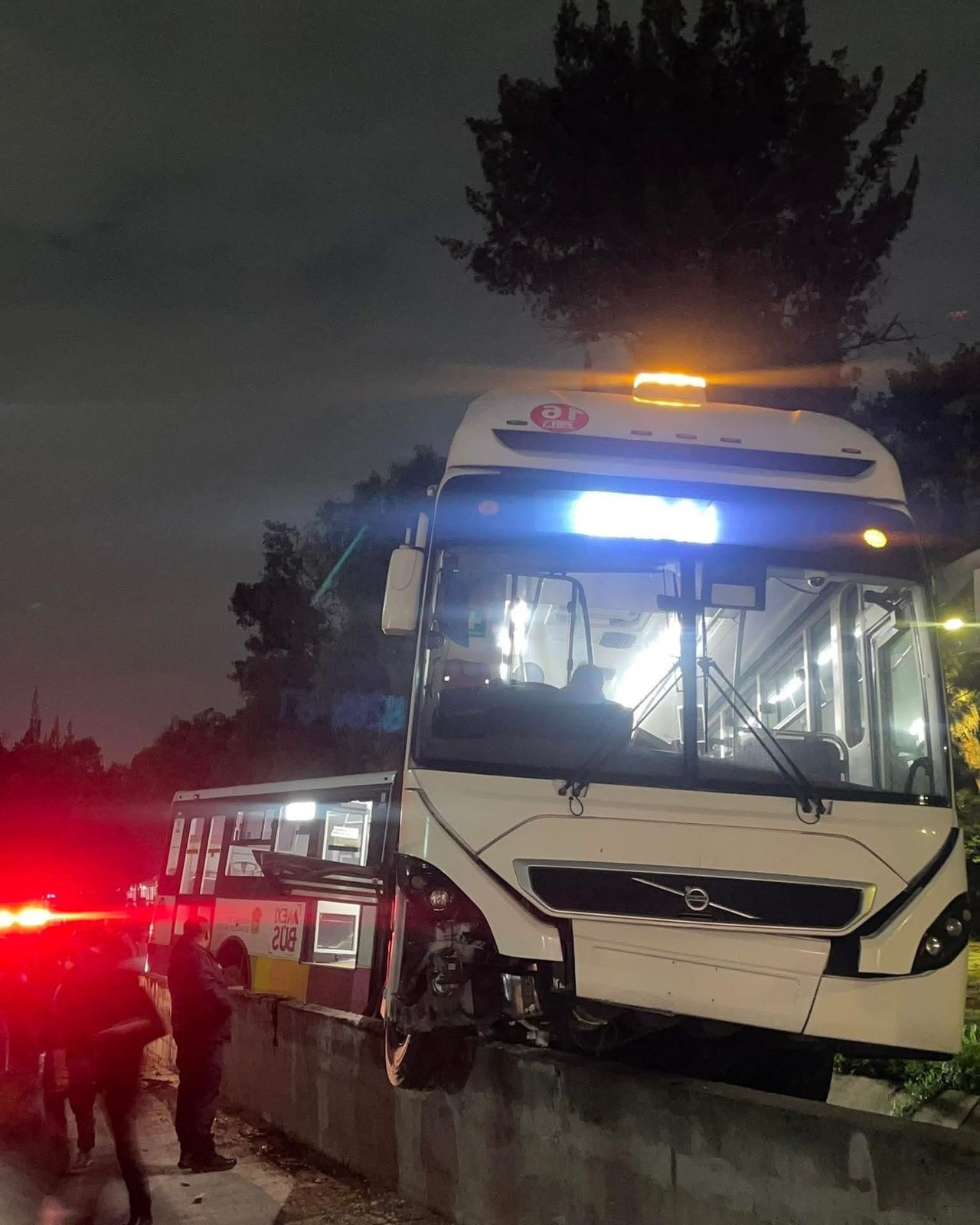 Algunos usuarios comentaron que el accidente se debió a fallas por parte del conductor / Foto Especial