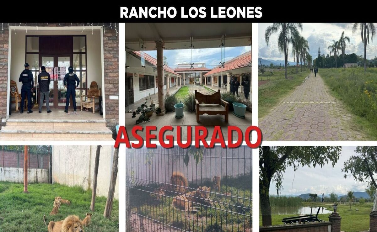 El rancho de Los Leones está ubicado en el municipio de Ixtapan de la Sal, en el Estado de México / Foto Especial