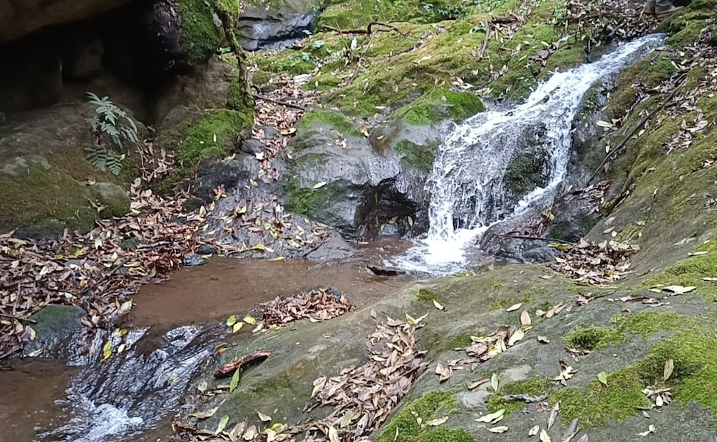 El suministro de agua comienza a llegar a los hogares, pero las autoridades advierten que aún no es apta para beber o cocinar. Foto Especial
