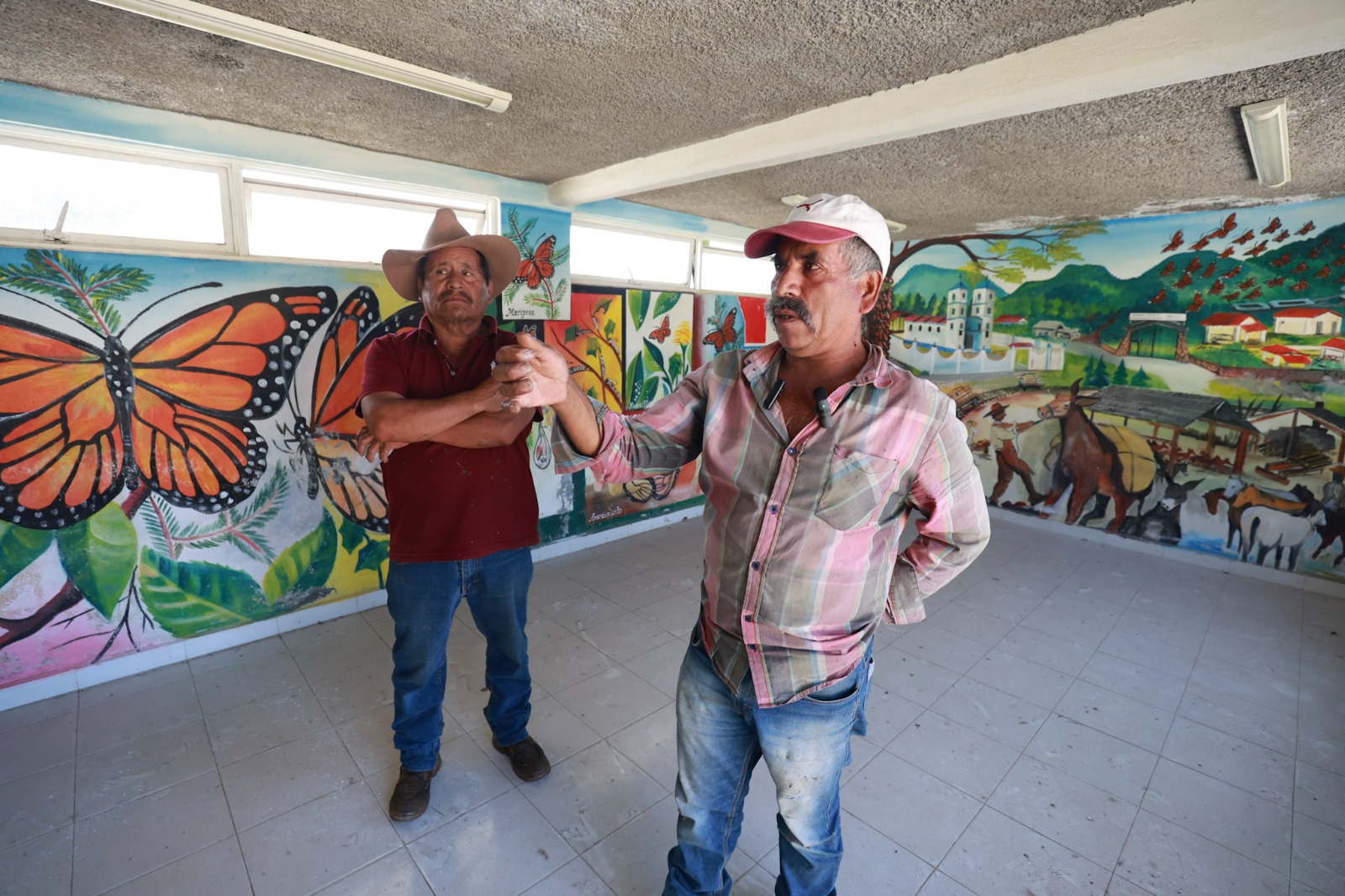 Abandona Mariposa Monarca parajes de Donato Guerra