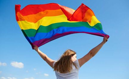 17 de mayo Día Internacional contra la Homofobia: ¿Cuál es el camino que se ha recorrido contra la discriminación?