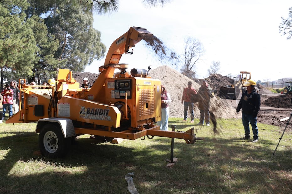 Los árboles recolectados en el Parque Bicentenario de Metepec son el primer paso para regenerar los suelos de nuestras áreas naturales. Foto Alejandro Vargas / El Universal