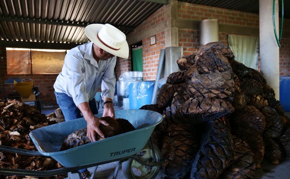 El proyecto prioriza que la derrama económica llegue directamente a las comunidades del sur del Edomex. Foto Especial