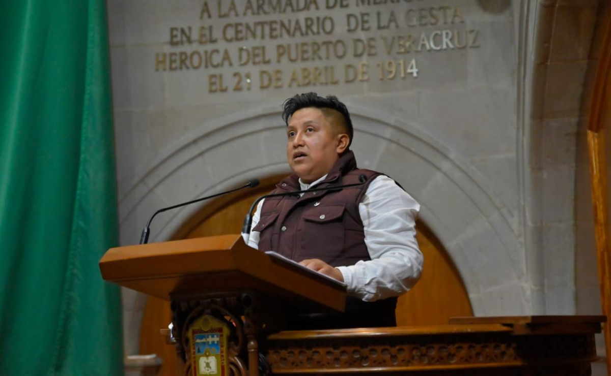 Diputade promovente de la iniciativa, Luisa Esmeralda Navarro Hernández Foto: Especial