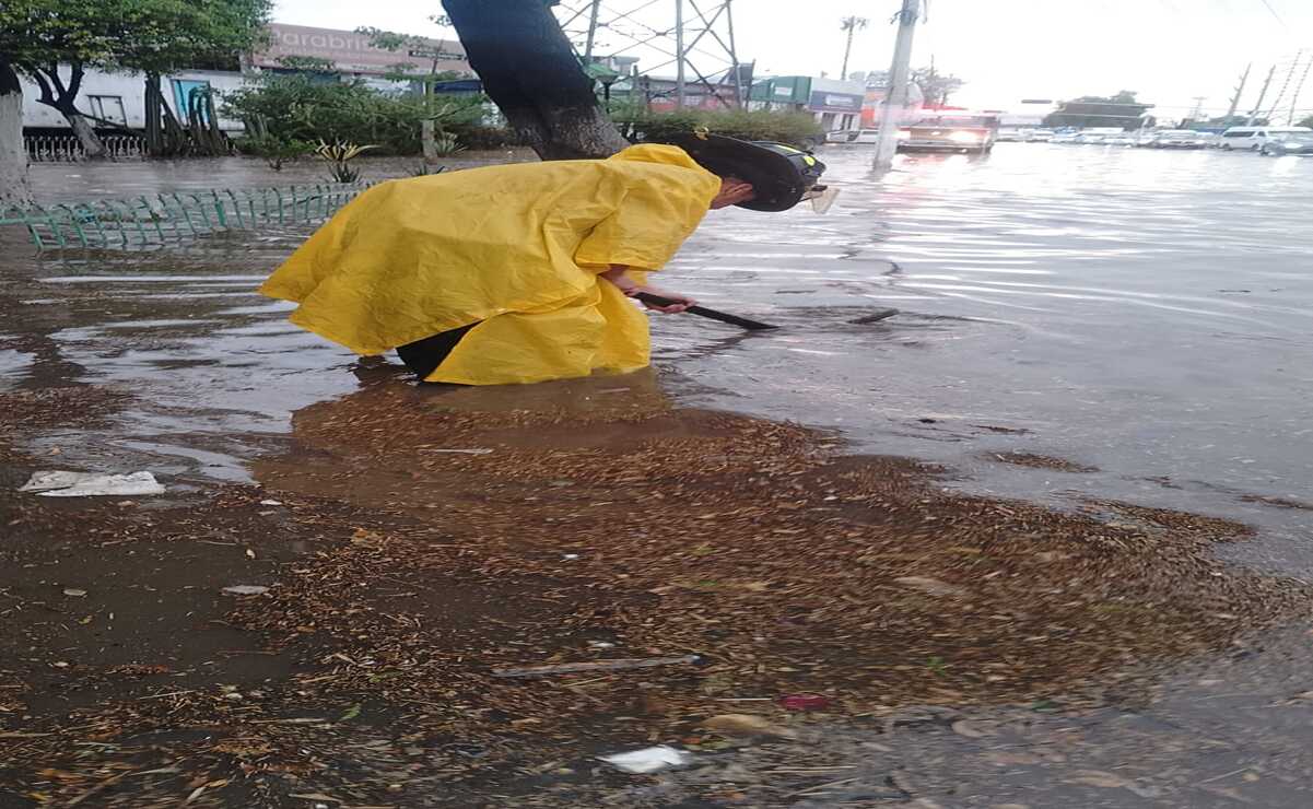 Personal de la Comisión Nacional del Agua realiza tareas de recolección de basura de manera permanente / Foto: Especial