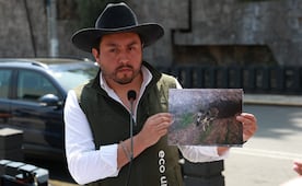 Denuncian envenenamiento masivo de fauna en El Calvario, Toluca; presentan denuncia ante la Propaem