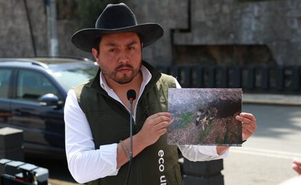 Denuncian envenenamiento masivo de fauna en El Calvario, Toluca; presentan denuncia ante la Propaem