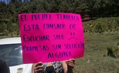 ¡S.O.S. en el Bosque de Agua! Comuneros de Ocuilan denuncian que la tala ilegal no se detiene