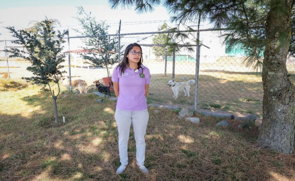 Susana Morales, coordinadora del programa también hizo un llamado a los padres a considerar la tenencia responsable. Foto: Especial