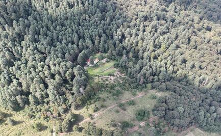 Con operativo de seguridad buscan frenar la tala clandestina en el Bosque de Agua de Naucalpan