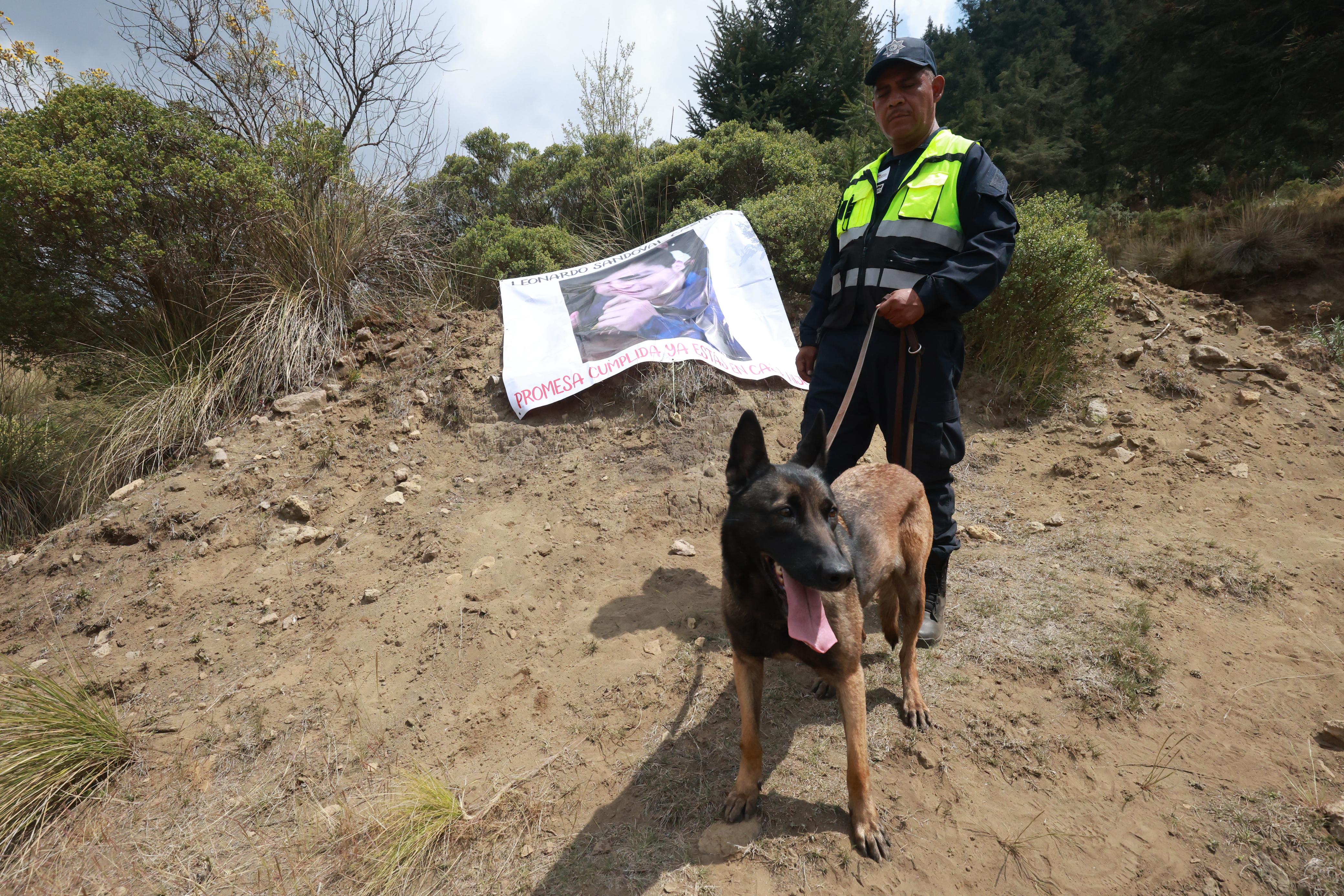 Perros entrenados, como Wendy, son clave en la búsqueda, detectando restos humanos a través del olfato. Foto Alejandro Vargas
