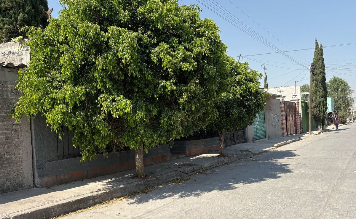 El hallazgo ocurrió en la colonia San Pablo de las Salinas, en Tultitlán. Foto: Arturo Contreras