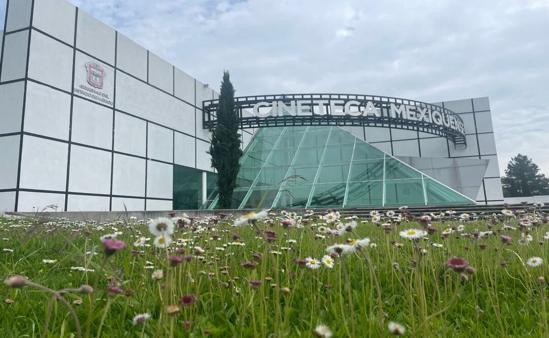 Llega a la Cineteca Mexiquense la Muestra Internacional de Cine / Foto Especial