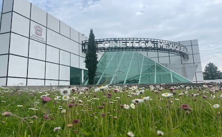 Cine de altura llega a Toluca: 77ª Muestra Internacional y La Nuit en Or en la Cineteca Mexiquense