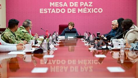 Delitos de alto impacto bajan en 9 de 12 rubros (Secuestro -50% y Homicidio -20%)