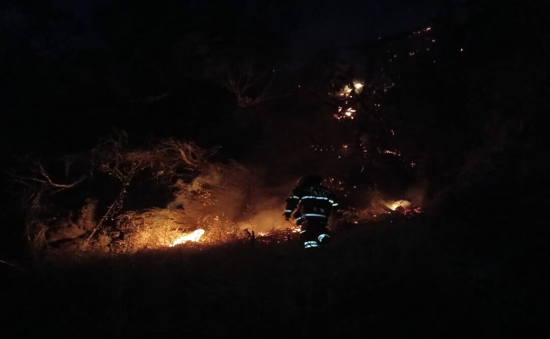 Los bomberos lograron controlar el fuego hasta altas horas de la noche. Foto: Especial