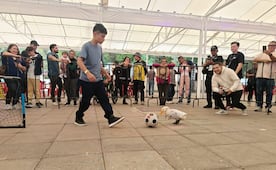 Dueña del Pato Merlín registrará su imagen ante el IMPI 