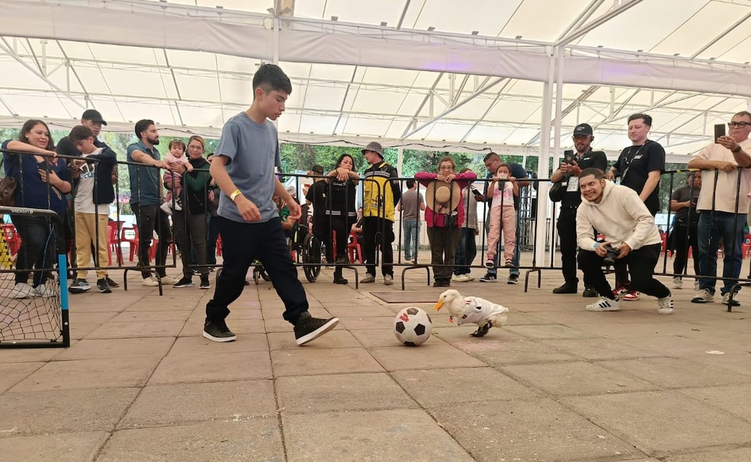 Con su ya clásico jersey de la Selección Mexicana, el Pato Merlín desató sonrisas entre chicos y grandes durante su visita al Parque Naucalli. Foto Especial