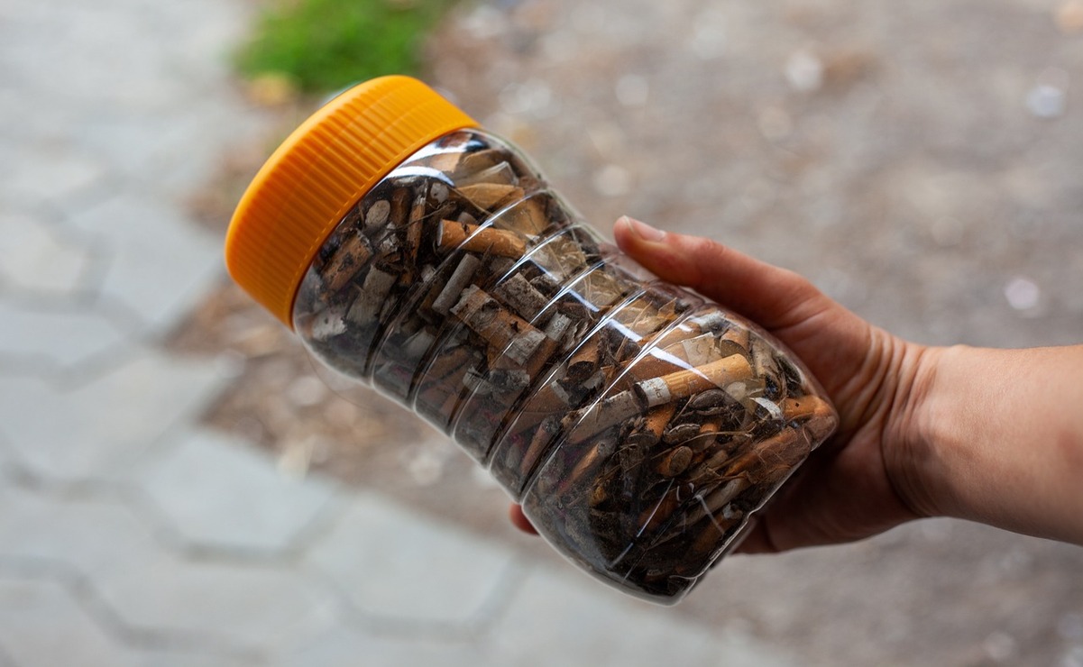 Este año, los estudiantes recolectaron más colillas de cigarro que el año pasado. Foto: Especial.