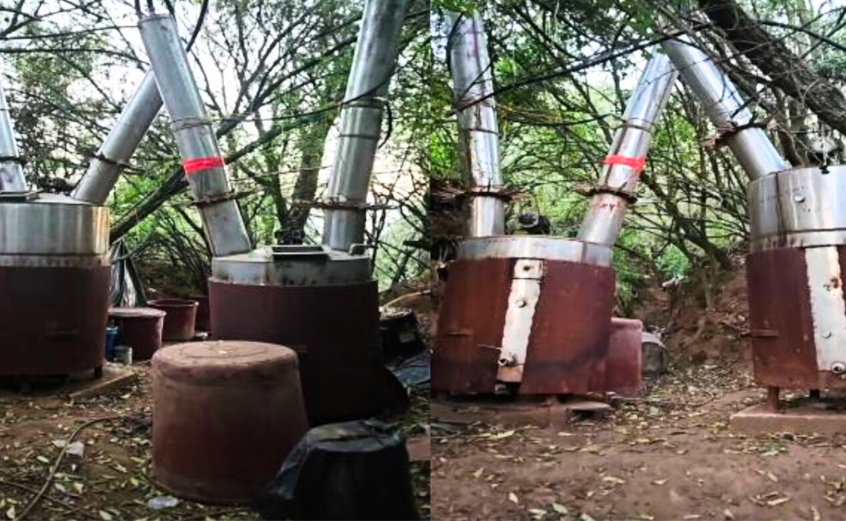 Fuerzas federales y estatales desarticulan laboratorio clandestino de drogas Foto: Especial