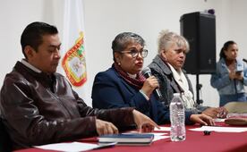 En agosto, Morena lanzará convocatoria para alcaldías y diputaciones locales