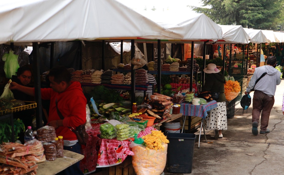 En Tejupilco se realizará la Expo Feria Regional 2025 / Foto Especial