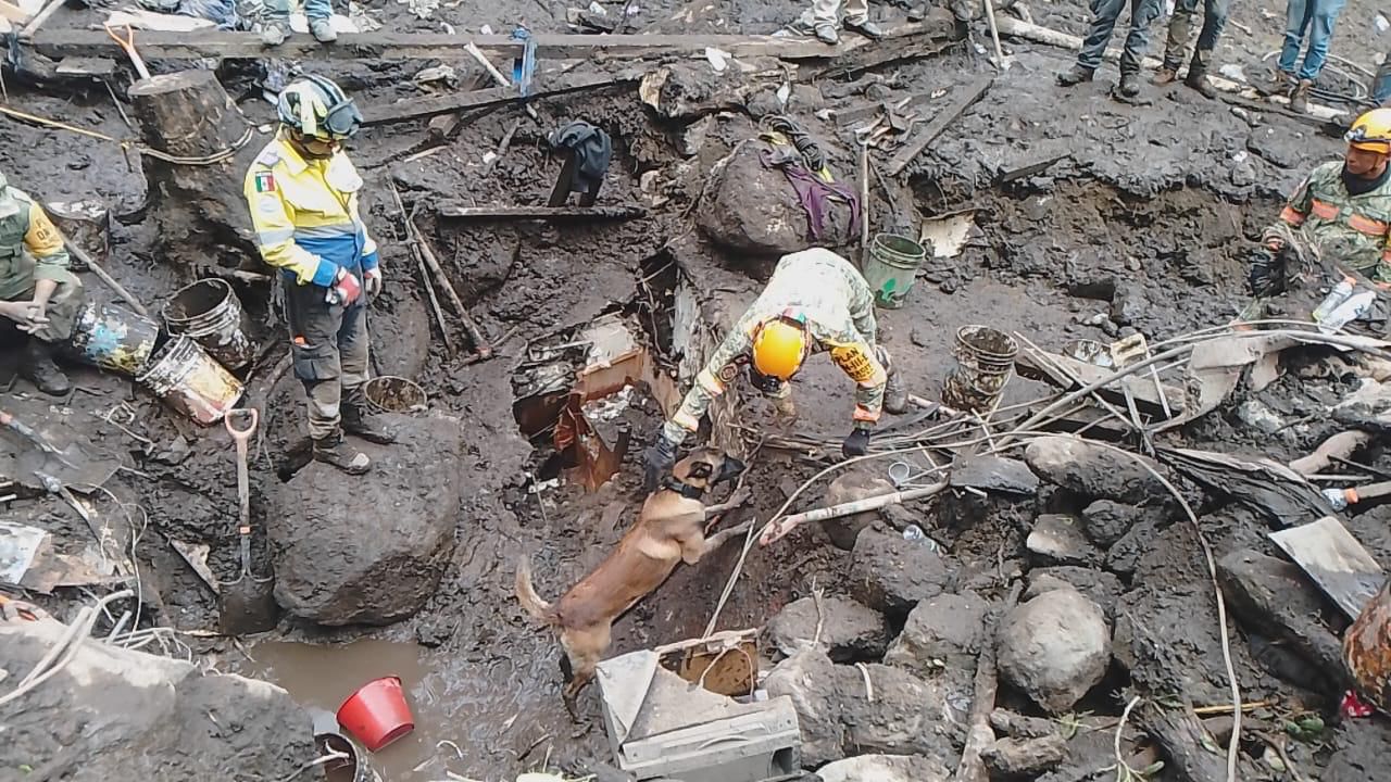 El personal de la Guardia Nacional se unió a las tareas de la Sedena para la remoción de escombro, tierra, lodo y árboles. Foto Claudia Rodríguez 